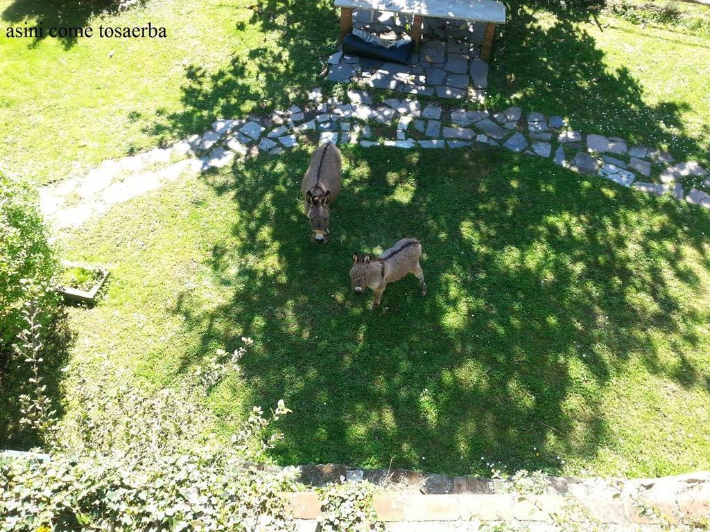 Il Borgo della Colomba Villa Fosdinovo Esterno foto